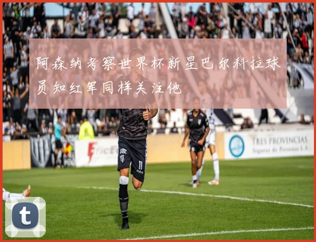 阿森纳考察世界杯新星巴尔科拉球员知红军同样关注他
